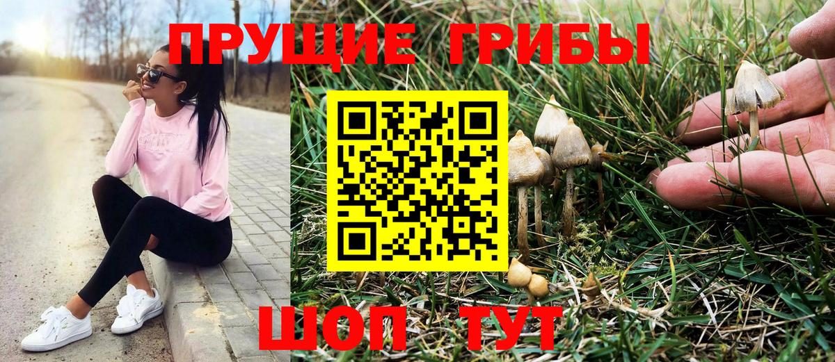 Галлюциногенные грибы Cubensis  где найти   Галлюциногенные грибы Psilocybe  Артёмовский  Вход с VPN 